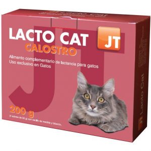 JT- LACTO CAT 4 X 50 GR CON CALOSTRO