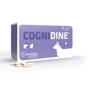 COGNIDINE 60 COMP.