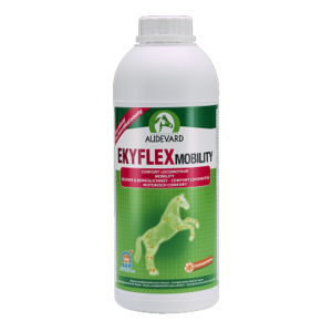 EKYFLEX MOBILITY 1L