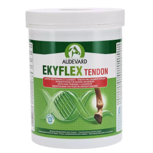 EKYFLEX TENDON