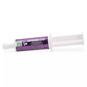 EKYGARD FLASH 600ML