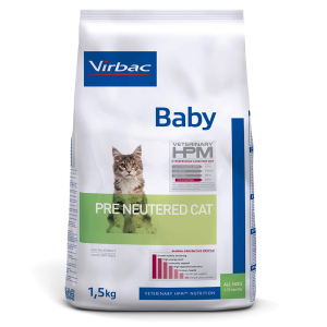 BABY PRE NEUTERED CAT