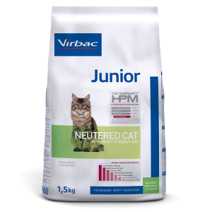 JUNIOR NEUTERED CAT