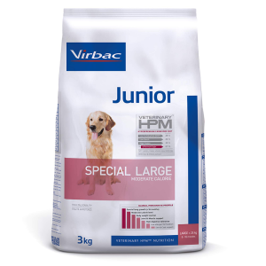 JUNIOR SPECIAL LARGE