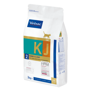 KJ2 - CAT KIDNEY & JOINT