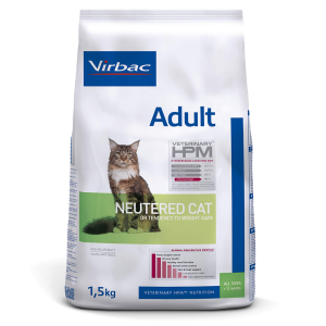 ADULT NEUTERED CAT