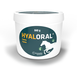 HYALORAL EQUINO 840 G