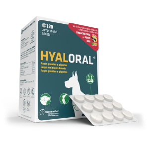 HYALORAL RAZAS GRANDES Y GIGANTES