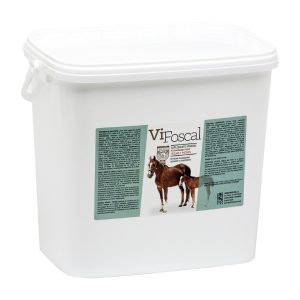 VIFOSCAL YEGUAS+P