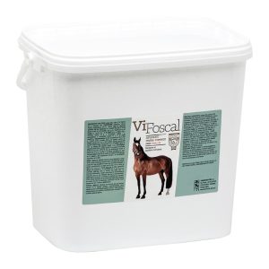 VIFOSCAL CABALLOS