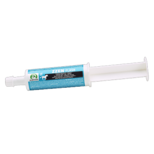 ZZEN FLASH 600ML