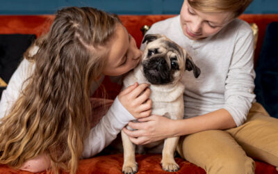 RAZAS BRAQUICÉFALAS Y PROBLEMAS RESPIRATORIOS: ENTENDER, PREVENIR Y CUIDAR