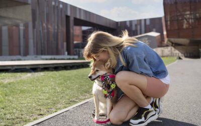 Cómo proteger las patas de tu mascota del asfalto caliente